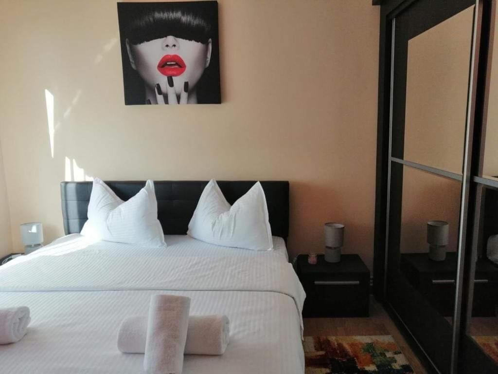 Vlad'S Apartment Târgu-Mureş المظهر الخارجي الصورة